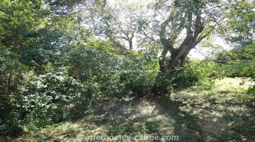 photos for SAMANA THE COVES: OCEAN FRONT LOT 29 405 M2